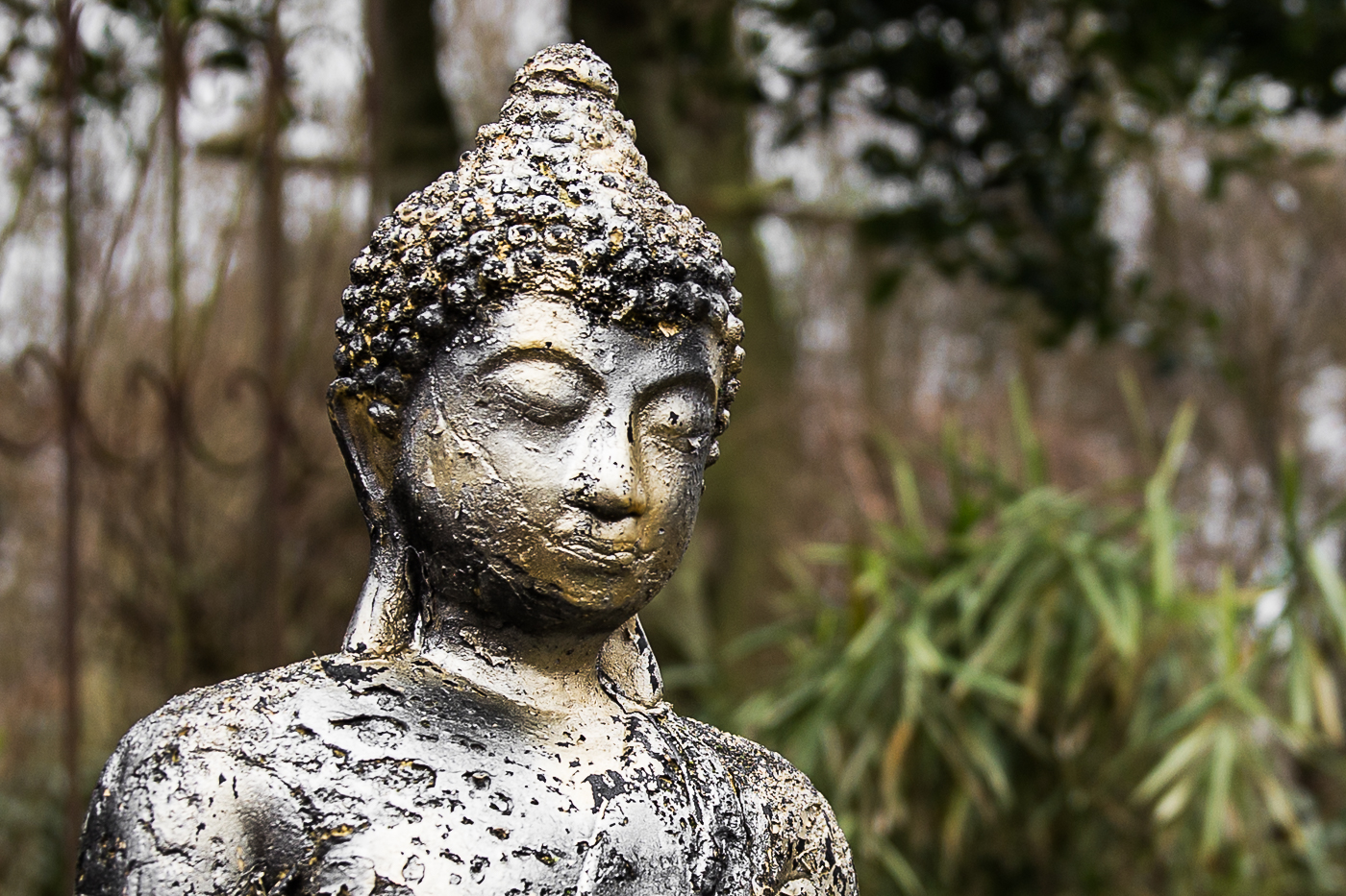 Close up Boeddha