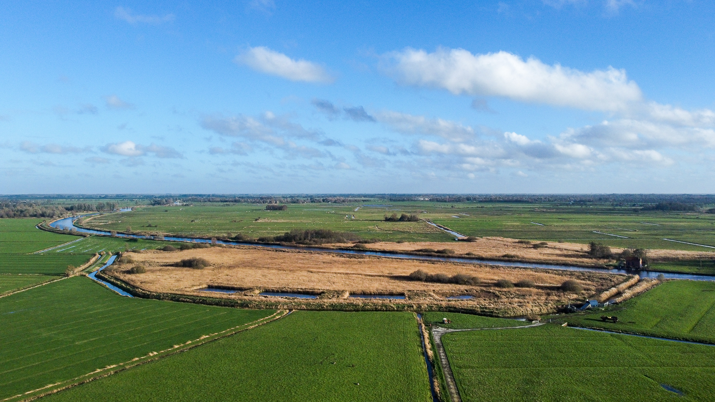 Dronefoto van Lisdoddeveld bij Wâlterswâld, Luchtfoto, Drone, Fryslân, Friesland, duurzaam, milieu, Dantumadiel